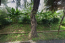 Tanah dijual dengan  di Menteng, Jakarta