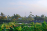 Land for sale in Karang Sari, Banten