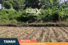Land for Sale or Rent in Karangpandan, East Java