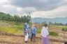 Land for sale in Citeureup, West Java
