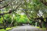 Land for sale in Forbes Park North, Metro Manila near MRT-3 Ayala