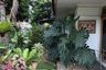 5 Bedroom House for sale in Pondok Betung, Banten