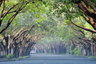 Land for sale in Dasmari&ntilde;as Village, Dasmari&ntilde;as North, Metro Manila near MRT-3 Magallanes