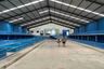 1 Bedroom Warehouse / Factory for sale in Sukodadi, East Java