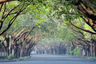 Land for sale in Dasmari&ntilde;as Village, Dasmari&ntilde;as North, Metro Manila near MRT-3 Magallanes