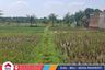 Land for sale in Antajaya, West Java