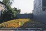 Tanah dijual dengan  di Japan, Jawa Timur
