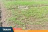 Tanah dijual dengan  di Kedungkandang, Jawa Timur