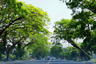 Land for sale in Ayala Alabang Village, New Alabang Village, Metro Manila