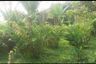Villa for sale in Citapen, West Java