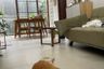 Rumah dijual dengan 2 kamar tidur di Jaya Sampurna, Jawa Barat