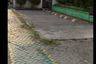 1 Bedroom Warehouse / Factory for sale in Cileduk, West Java