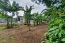 Land for sale in Mampang, West Java