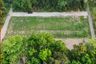 Land for sale in Sardonoharjo, Yogyakarta