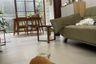 Rumah dijual dengan 2 kamar tidur di Jaya Sampurna, Jawa Barat