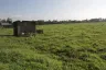 Land for sale in Bagong Pook, Laguna