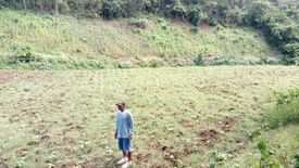 Land for sale in Bongoyan, Cebu