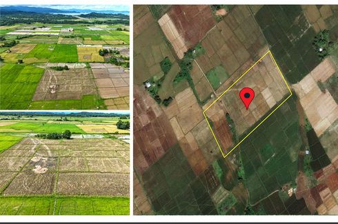 Premier Rural Estate Near Long Beach 📌 Land for sale in Palawan | Dot ...