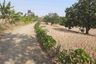 Land for sale in Padaasih, West Java