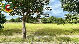 Land for sale in San Isidro, Pampanga