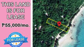 Land for Sale or Rent in Malcampo, Palawan