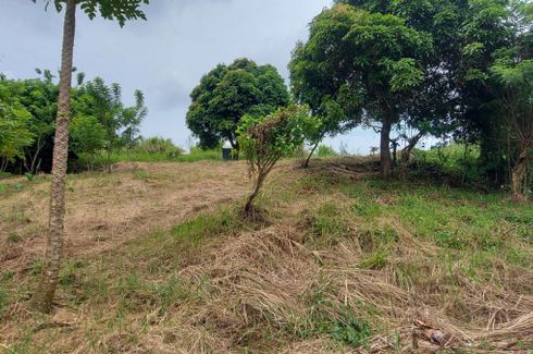 Land for sale in Tolentino West, Cavite