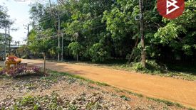 Land for sale in Ko Kut, Trat