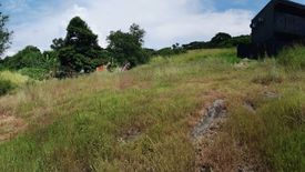 Land for sale in San Vicente, Laguna