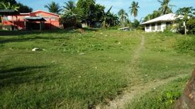 Land for sale in Ocana, Cebu