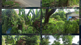 Land for sale in Canjulao, Cebu