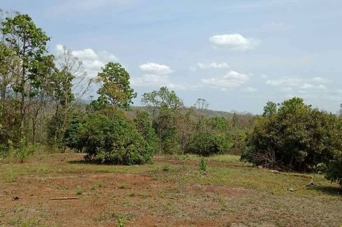 Land for sale in Pa Miang, Chiang Mai