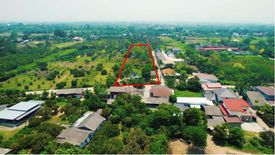 Land for sale in Yang Noeng, Chiang Mai