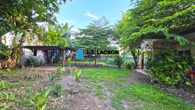 3 Bedroom House for sale in Camanjac, Negros Oriental