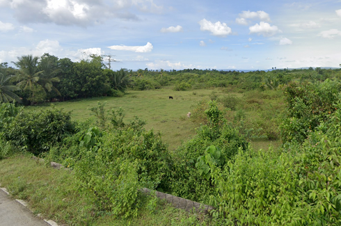 Land for sale in Bancasan, Cebu