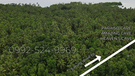 Land for sale in Consuelo, Cebu