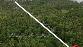 Land for sale in Consuelo, Cebu