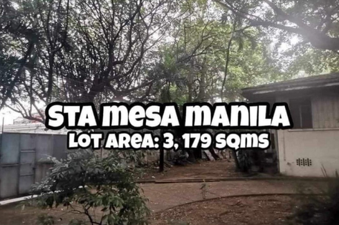 Land for sale in Santa Mesa, Metro Manila near LRT-2 V. Mapa