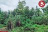 Land for sale in Tap Tao, Chiang Rai