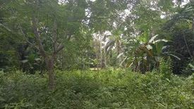 Land for sale in Songculan, Bohol