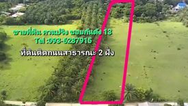 Land for sale in Khuan Pring, Trang