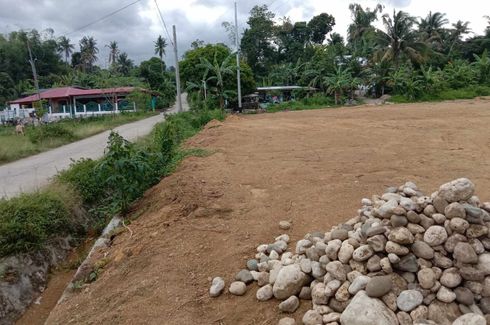 Land for sale in Tulic, Cebu