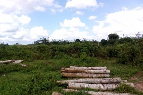 Land for sale in Cosina, Bukidnon
