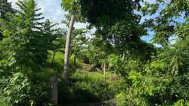 Land for sale in San Isidro, Bohol