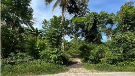 Land for sale in San Isidro, Bohol