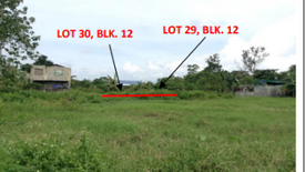Land for sale in Estefania, Negros Occidental