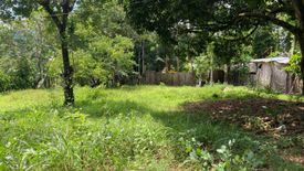 Land for sale in Cambinocot, Cebu