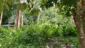 Land for sale in Cambinocot, Cebu