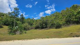 Land for sale in Cancatac, Bohol