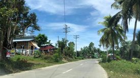 Land for sale in San Isidro, Bohol