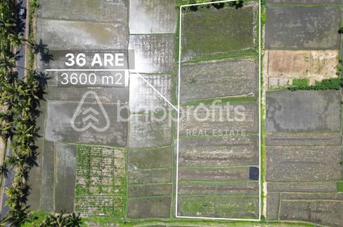 Tanah dijual dengan  di Belalang, Bali